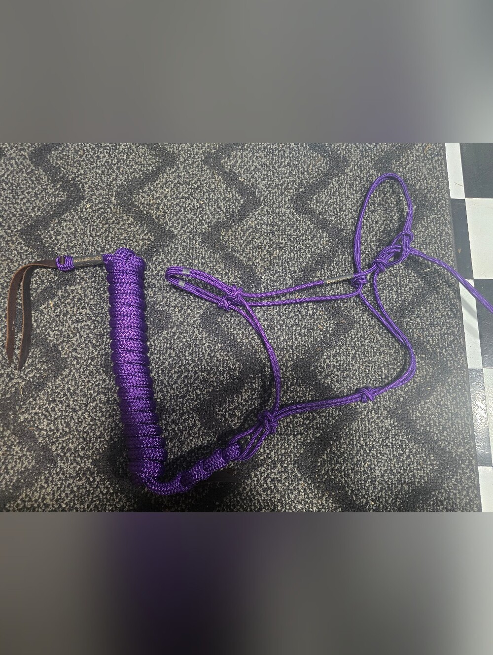 Purple Rope Halter and Lead Set